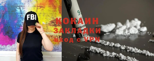 индика Няндома