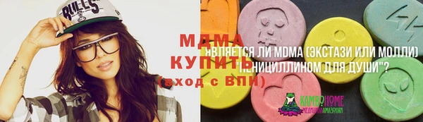 индика Няндома