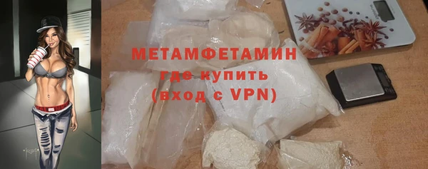 индика Няндома
