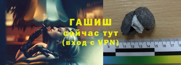 индика Няндома