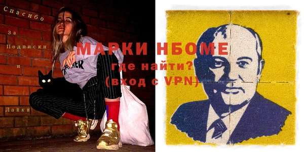 индика Няндома