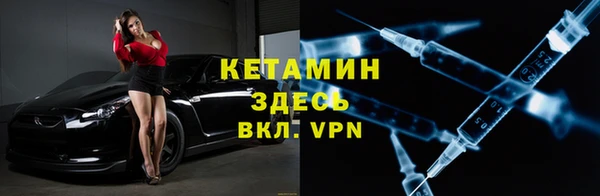 индика Няндома