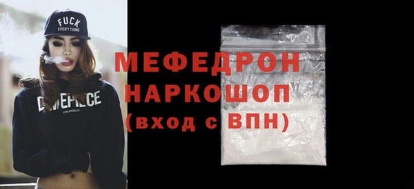 индика Няндома