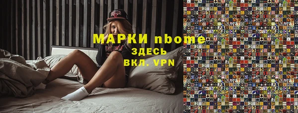 индика Няндома