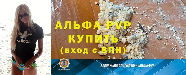 индика Няндома