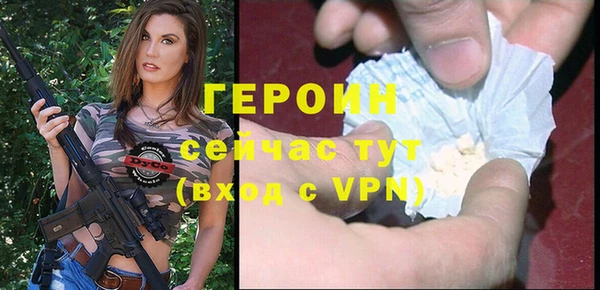 индика Няндома