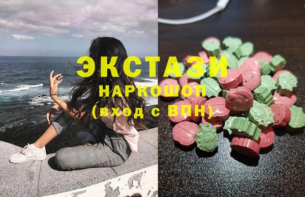 индика Няндома