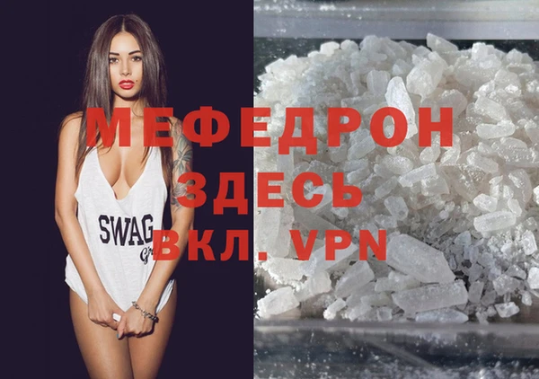 индика Няндома