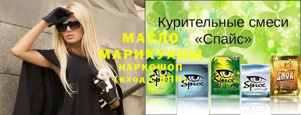 индика Няндома