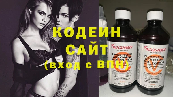 индика Няндома