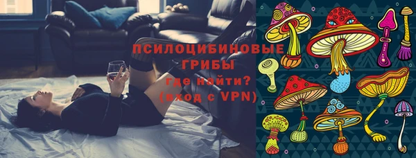 прущий лед Гатчина