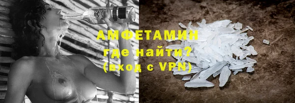 индика Няндома