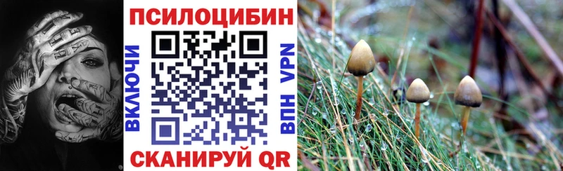 Псилоцибиновые грибы Cubensis  Пустошка 